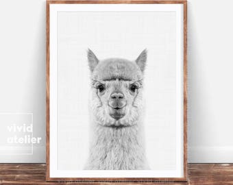 Alpaca Print, Woodlands Nursery, Black and White Animal Print, Printable Woodlands, Alpaca Photo, Baby Woodland Decor, Wall Art Prints