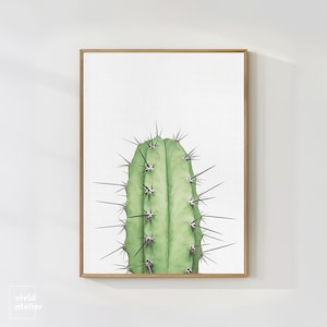 Cactus Print, Succulent Print, Cactus Wall Art, Cactus Printable, Cactus Poster, Digital Prints, Botanical Print, Downloadable Prints, Art