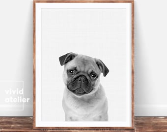 Pug Print, Dog Print, Pug Wall Art, Pug Photography, Minimalist Black and White Dog Print, Printable Animal Art, Pug Photo, Nursery Animal