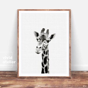 Giraffe Print, Giraffe Wall Art, Nursery Animal Prints, Giraffe Art Prints, Nursery Art, Nursery Decor, Nursery Wall Art, Nursery Prints image 1
