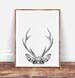 Deer Print, Woodland Nursery, Nursery Wall Art, Printable Art, Deer Head, Nursery Decor, Woodland Animal Print, Downloadable Prints, Poster 