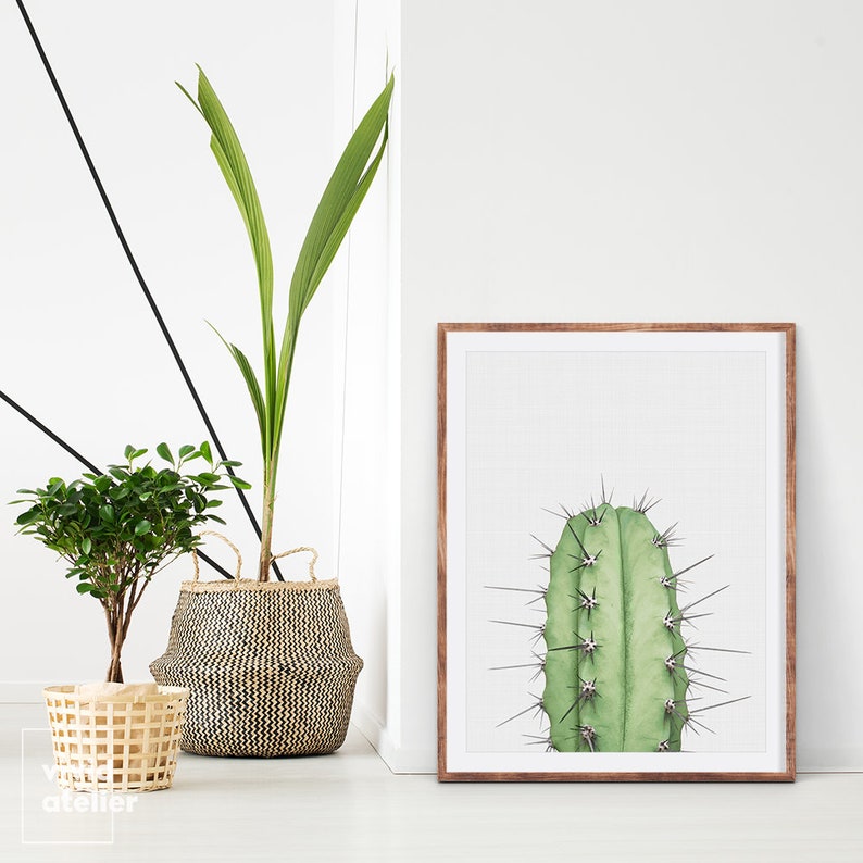 Cactus Print Succulent Print Cactus Wall Art Cactus Etsy