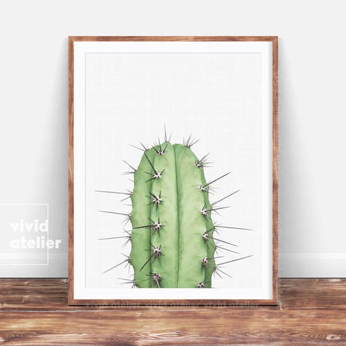 Cactus Print Succulent Print Cactus Wall Art Cactus Etsy
