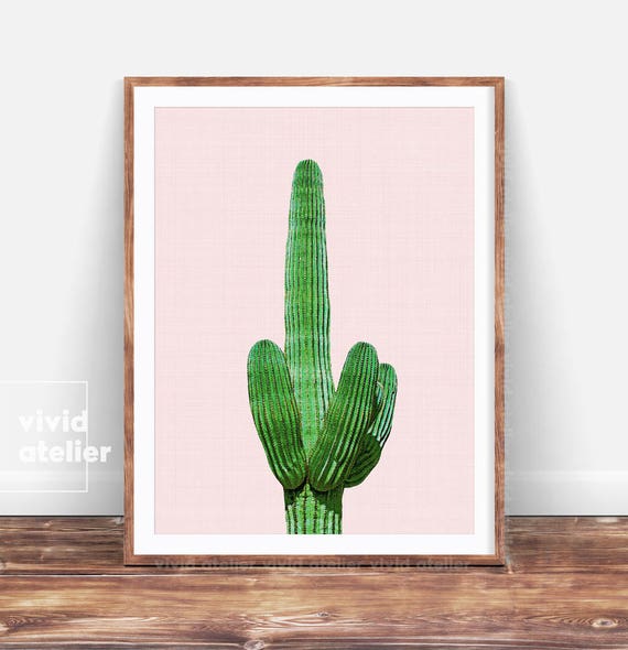 Cactus Cacti Succulent Rain Drop A1 A2 A3 A4 A5 Vintage Art Print Poster