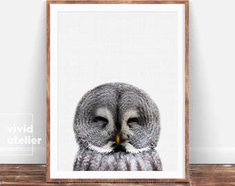 Owl Print, Nursery Decor Instant Download, Owl Wall Print, Woodlands Animal Art, Owl Photography,  Bird Print, Nursery Animal, Forest Animal