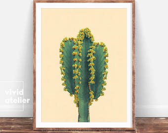 Impression De cactus, impression de cactus, affiche imprimable, impression succulente, impression végétale de cactus, art de mur de cactus, impression de plante, art imprimable, art de cactus