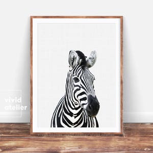 Zebra Print, Girl Nursery Decor, Baby Girl Nursery, Nursery Wall Art, Nursery Art, Nursery Prints, Zebra Art, Zebra Print Wall Art Print image 1