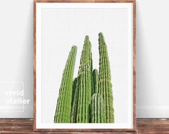 Cactus Print, Cactus Wall Art, Desert Print, Best Selling Items, Printable Cactus, Cactus Photo, Desert, Succulent Print, Cactus, Cactus Art