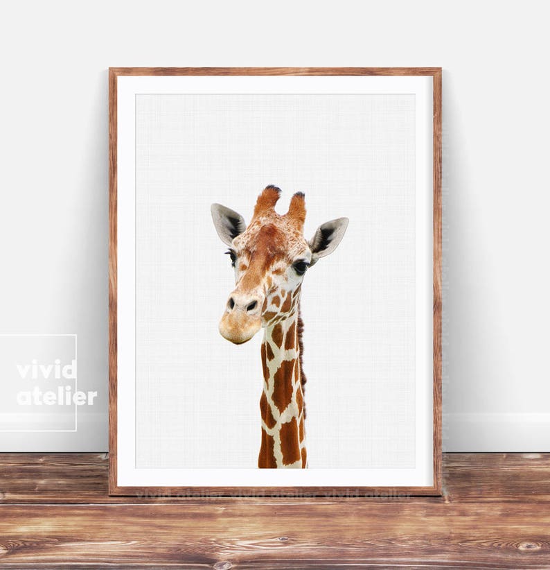 Nursery Wall Art Giraffe Print Nursery Animal Print Nursery Etsy