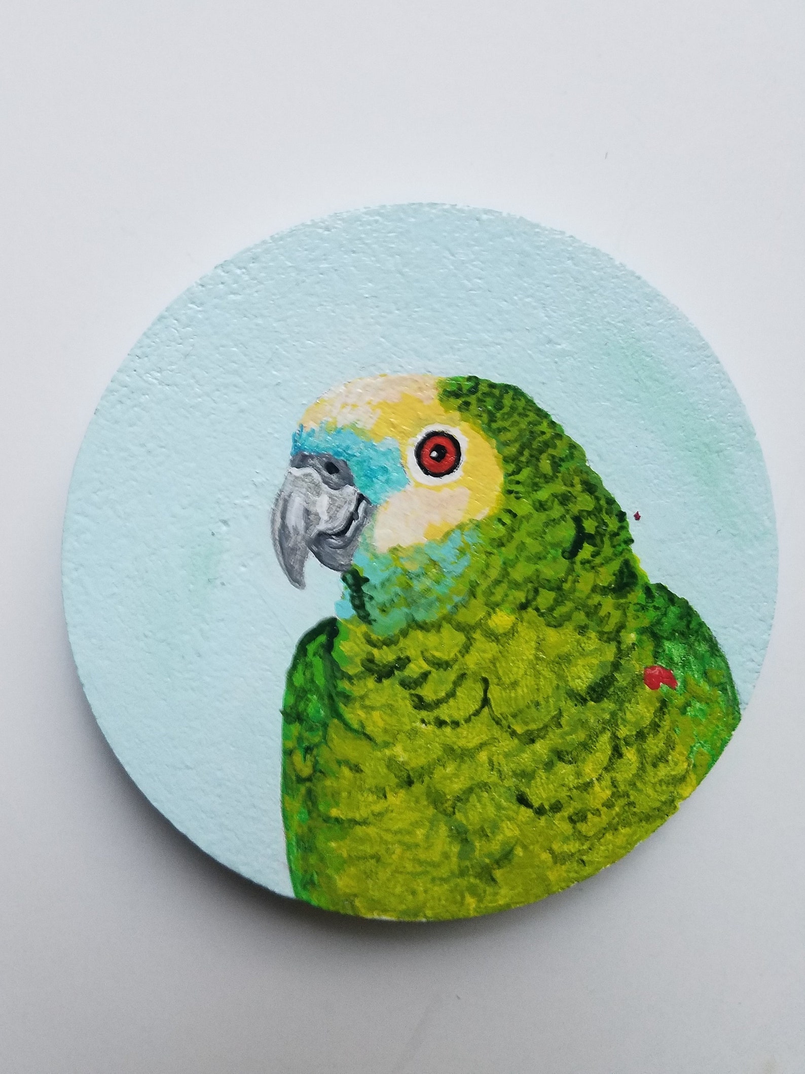 Amazon coaster set Parrot coasters Painted coasters Coaster Etsy