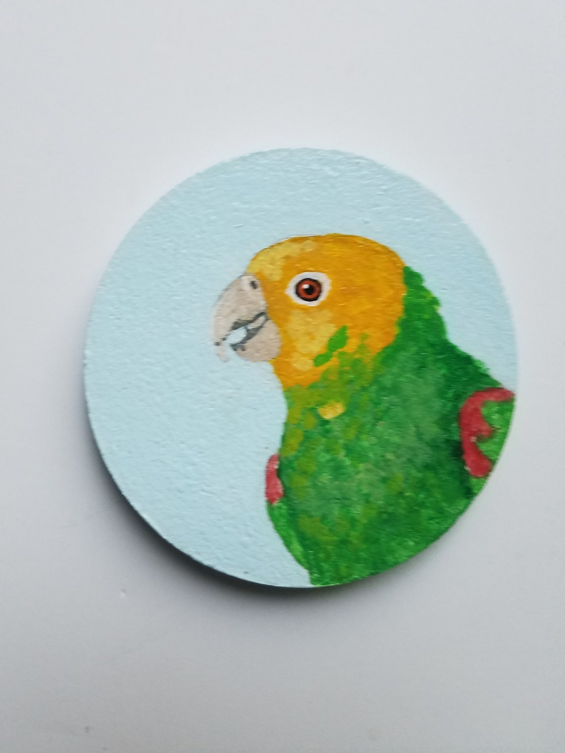 Amazon coaster set Parrot coasters Painted coasters Coaster Etsy