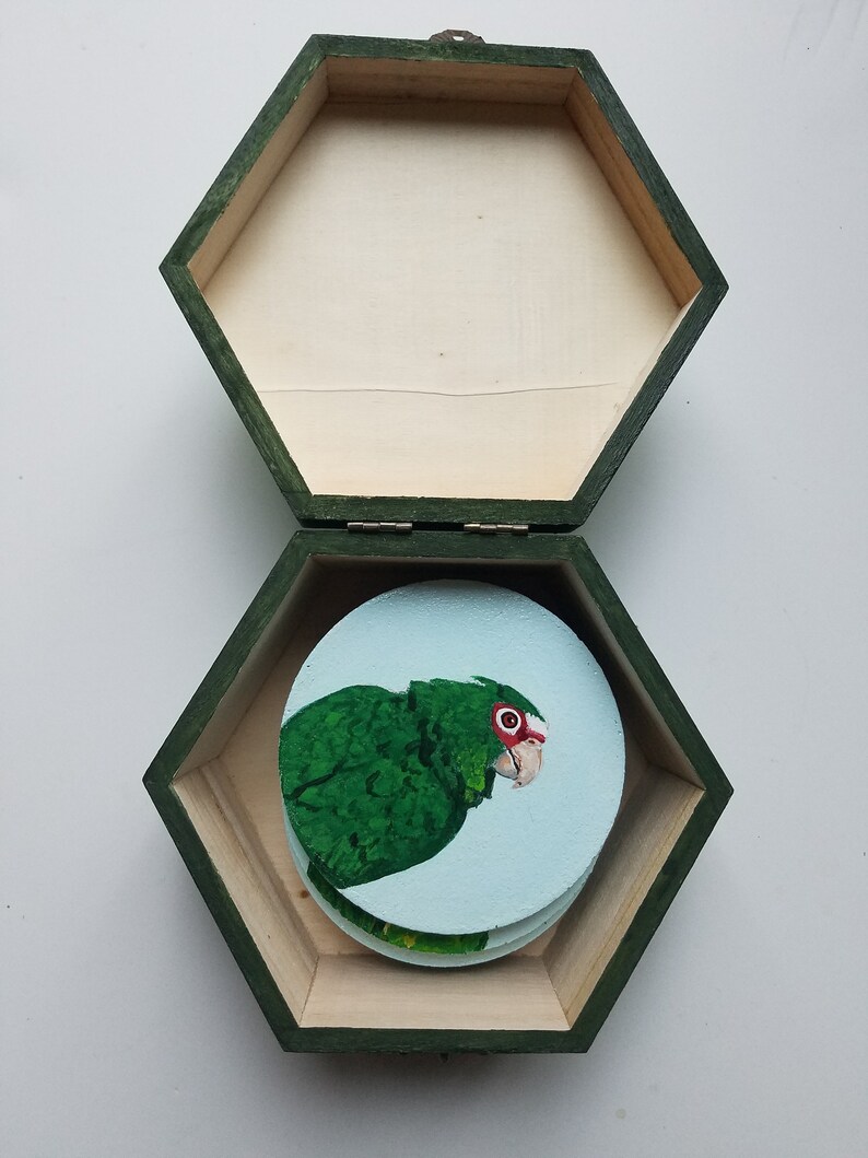 Amazon coaster set Parrot coasters Painted coasters Coaster Etsy