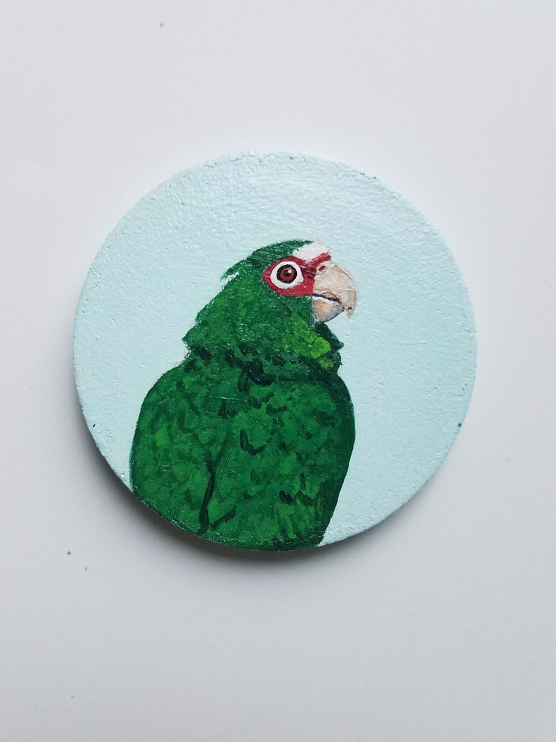 Amazon coaster set Parrot coasters Painted coasters Coaster Etsy