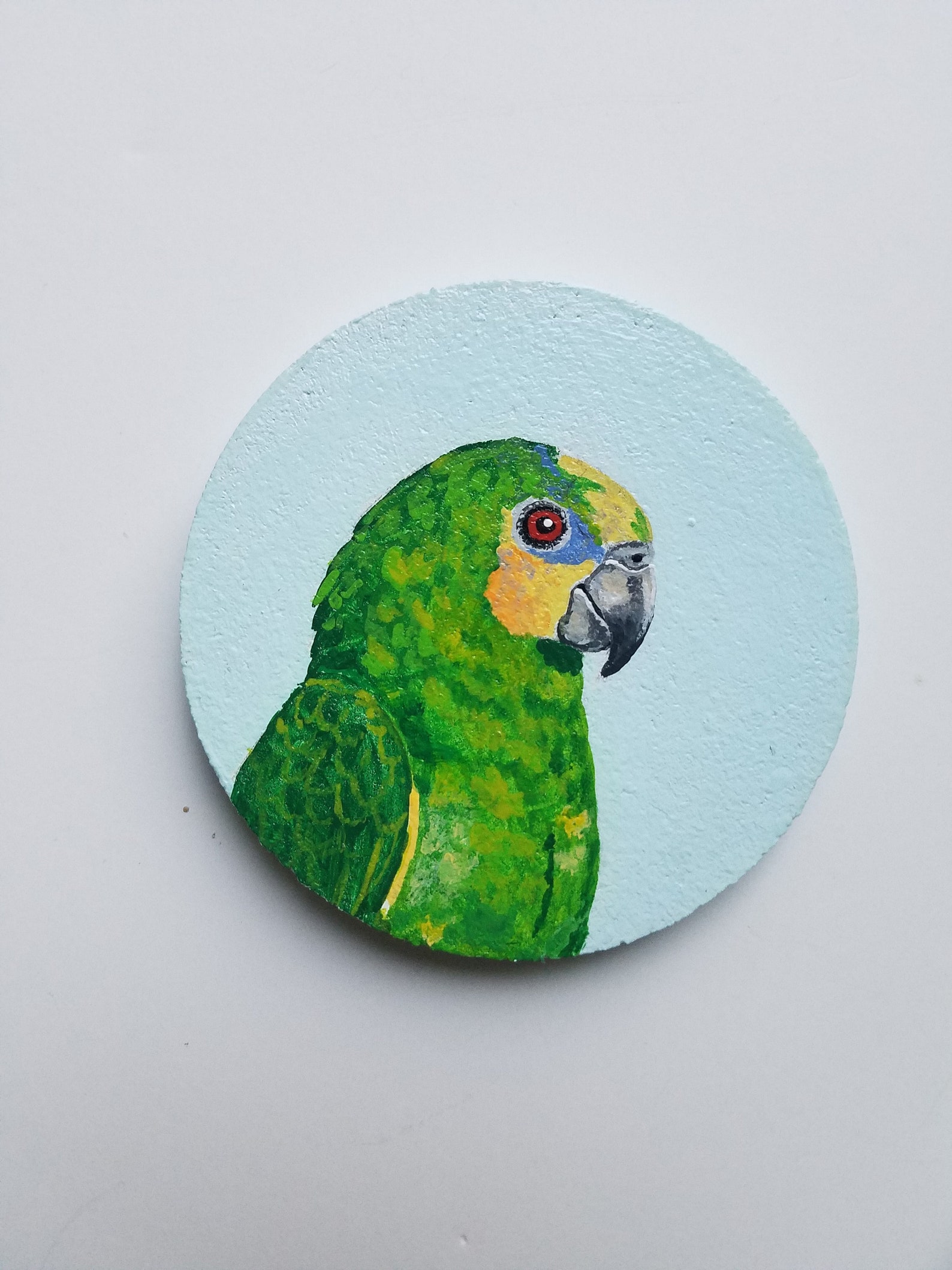 Amazon coaster set Parrot coasters Painted coasters Coaster Etsy