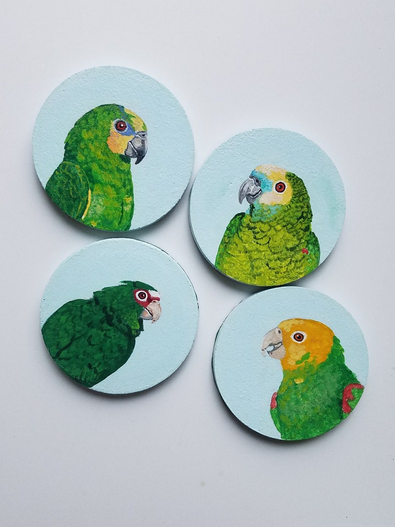 Amazon Coaster Set Parrot Coasters Painted Coasters Coaster Etsy