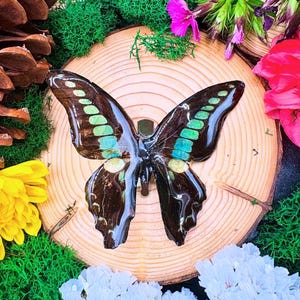 Real butterfly in resin with alligator hair clip Fairytale renaissance fair cottagecore fairy jewelry hair accessory hair barrettes monarch