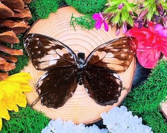Peut inclure: Un papillon aux ailes brunes et blanches se pose sur une tranche de bois, entouré de mousse verte, de fleurs roses et jaunes et de fleurs blanches. Les ailes du papillon sont déployées, révélant ses détails complexes.