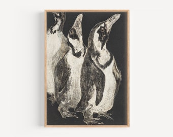 Three Penguins | Vintage Drawing  |  Printable Downloaf File | Fine Art  | Penguin Sketch  | Collectible Art Print