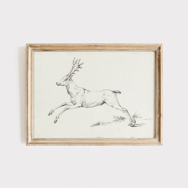 Antique Deer Sketch, Vintage Deer Drawing, Jumping Deer Sketch, Digital PRINTABLE Wall Art, Neutral Antique Wall Art Print, Animal Sketch