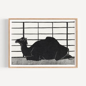 Dromedary Print | Arabian Camel | High-Resolution Printable Vintage Art (1912) | Vintage Animal Illustration | Digital Download Home Decor
