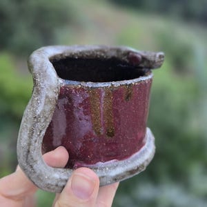 May include: A handmade ceramic mug with a unique snake-shaped handle and lid. The mug has a deep burgundy glaze on the body with a textured, grey handle and rim. The mug is held in a hand against a blurred green background.