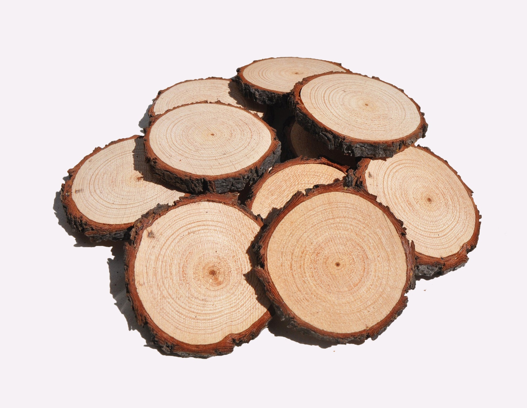 10PCS 10-12 inches Large Wood Slices for Centerpieces - Wood