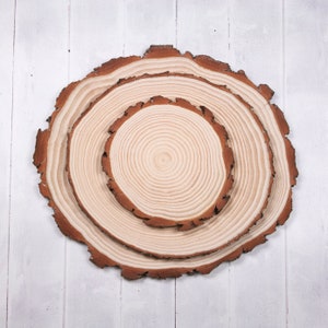 Large Wood Slices Sanded one Side Wood Slice Centerpieces Large Wood Slices Rustic Wedding Decor Pyrography Wood Blanks image 2