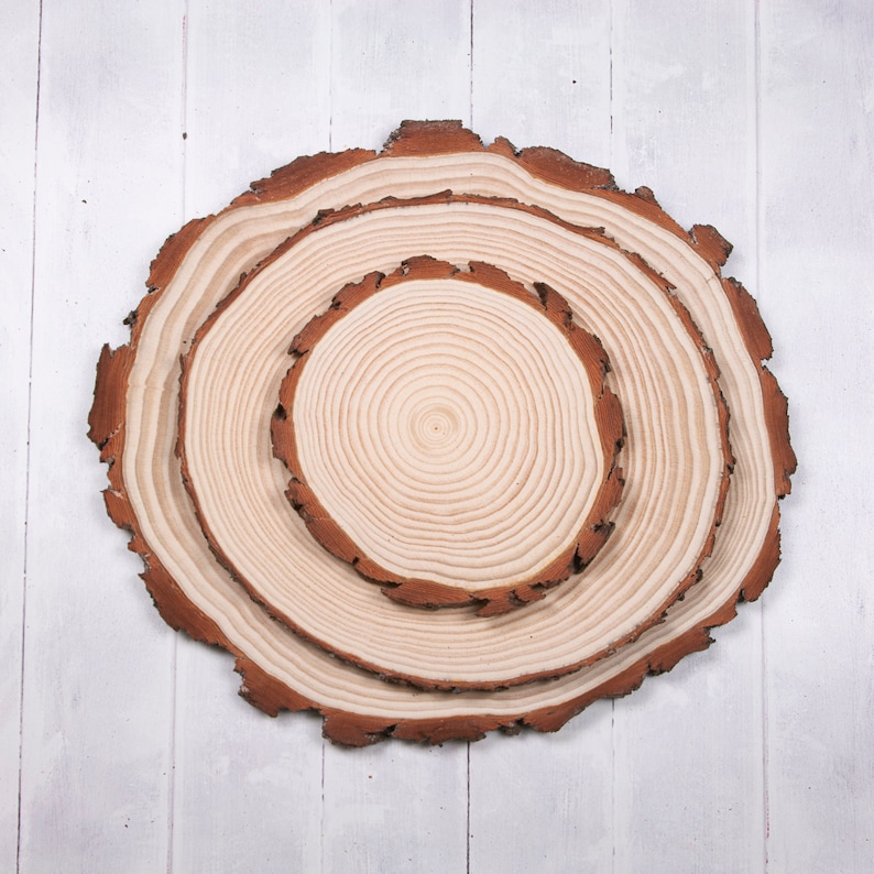 Large Wood Slices Sanded one Side Wood Slice Centerpieces Large Wood Slices Rustic Wedding Decor Pyrography Wood Blanks image 2