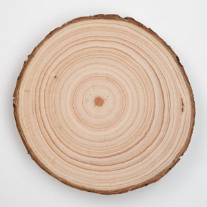 Wood Slices, Wood Slabs, Log Slices 9 to 10 diameter x 1 thick Kiln Dried &  Sanded, Woodland Decor, Wedding Centerpieces.