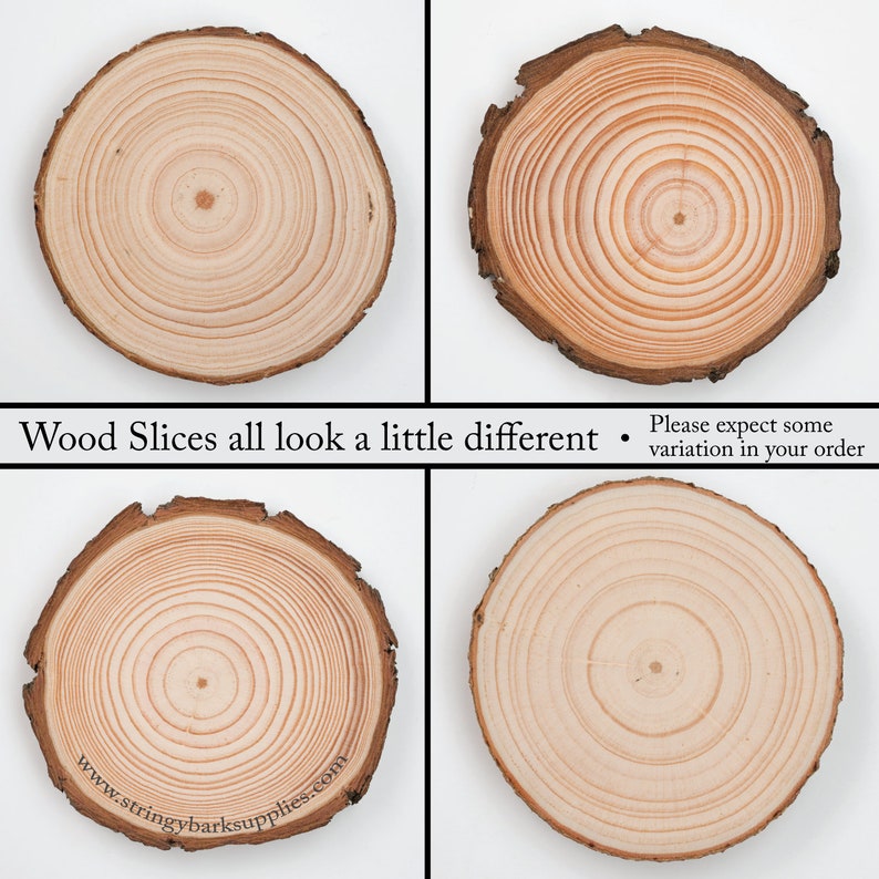 May include: Four wood slices, each with a different grain pattern, showing the natural beauty of wood. The slices are round and have a smooth surface. The text "Wood Slices all look a little different. Please expect some variation in your order" is visible at the bottom of the image.