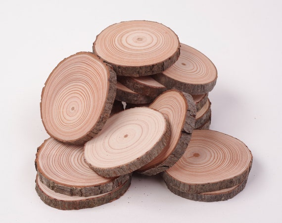 20 Wood Slices 6 8 Cm Rustic Wood Rounds 3 Inch Wood Slices Wood Slice  Christmas Ornaments Blank Wood Slices for Crafts 