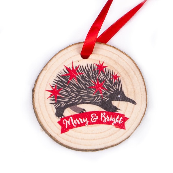 Echidna Christmas Ornament • Gift for Teacher • Australian Christmas Decor • Cute Christmas Gift • Small Xmas Gift • Teacher Gift