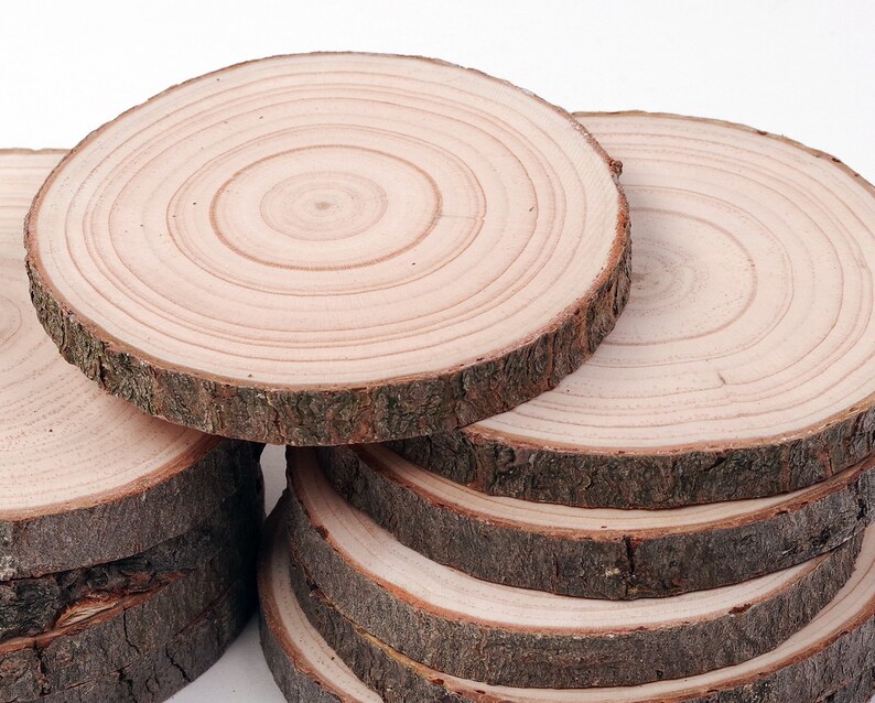 May include: A stack of six natural wood slices, each with a different diameter, showing the natural grain and bark of the wood. The slices are perfect for crafting, decorating, or using as coasters.