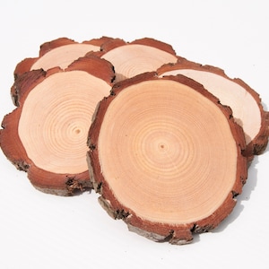 Pode incluir: Um conjunto de seis  costas de madeira natural, cada um com um padrão de grão único e uma borda exterior castanho-avermelhada. Os  costas estão empilhados, com o  costa superior mostrando a maior parte do detalhe do grão da madeira.