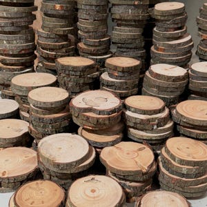 100 Discount Woodslices • Assorted Pack of Wood Slices • Tree Slices, Branch Slices • Bulk Wood Slices • Wood Rounds, 100 Wood Slice Seconds