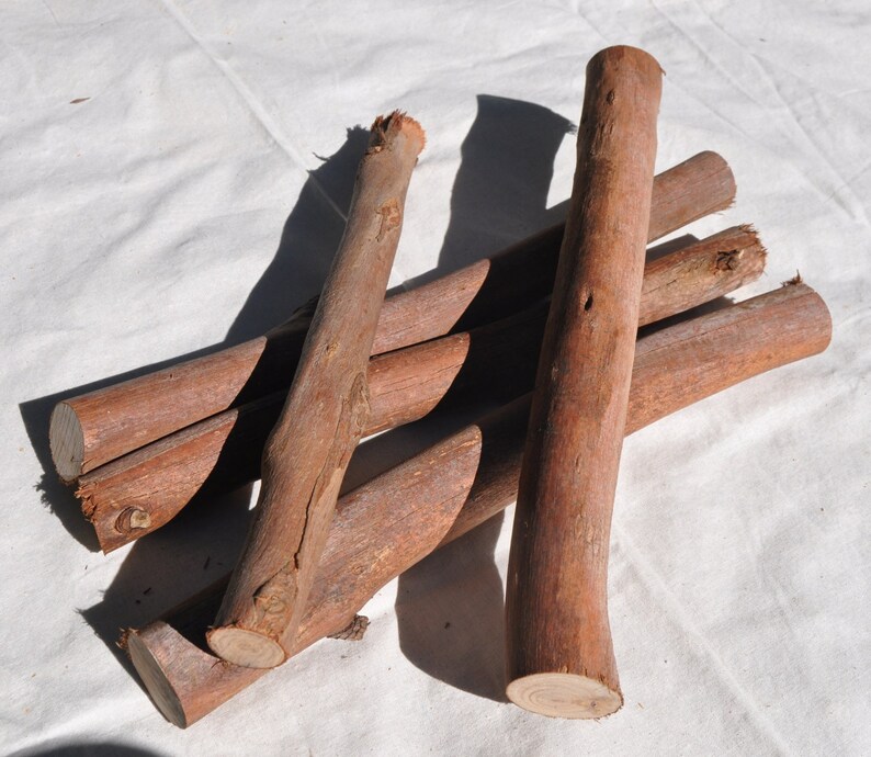 5 Gumtree Branches Wood Sticks For Kids Natural Wood Dowels Etsy