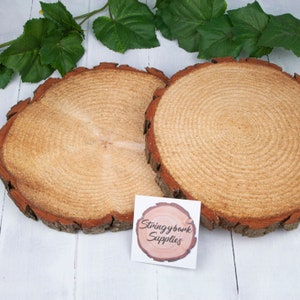 May include: Two natural wood slices with bark edges, ideal for crafts or decoration. The wood is light brown with visible grain patterns. A white card with the text "Stringybank Supplies" is in the foreground.