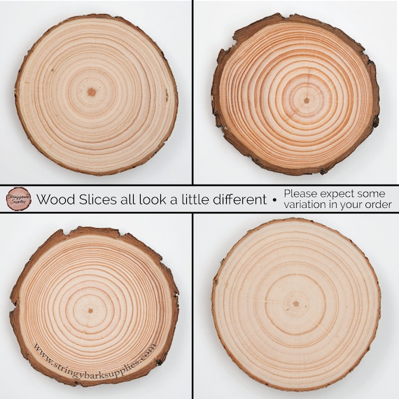  Large Wood Slices 4 Pcs 12-14 Inches Wood Rounds Natural Wood  Slices for Centerpieces/Display/Crafts/Painting/Table Decor/Wood  Burning/DIY Projects/Christmas Ornaments : Beauty & Personal Care