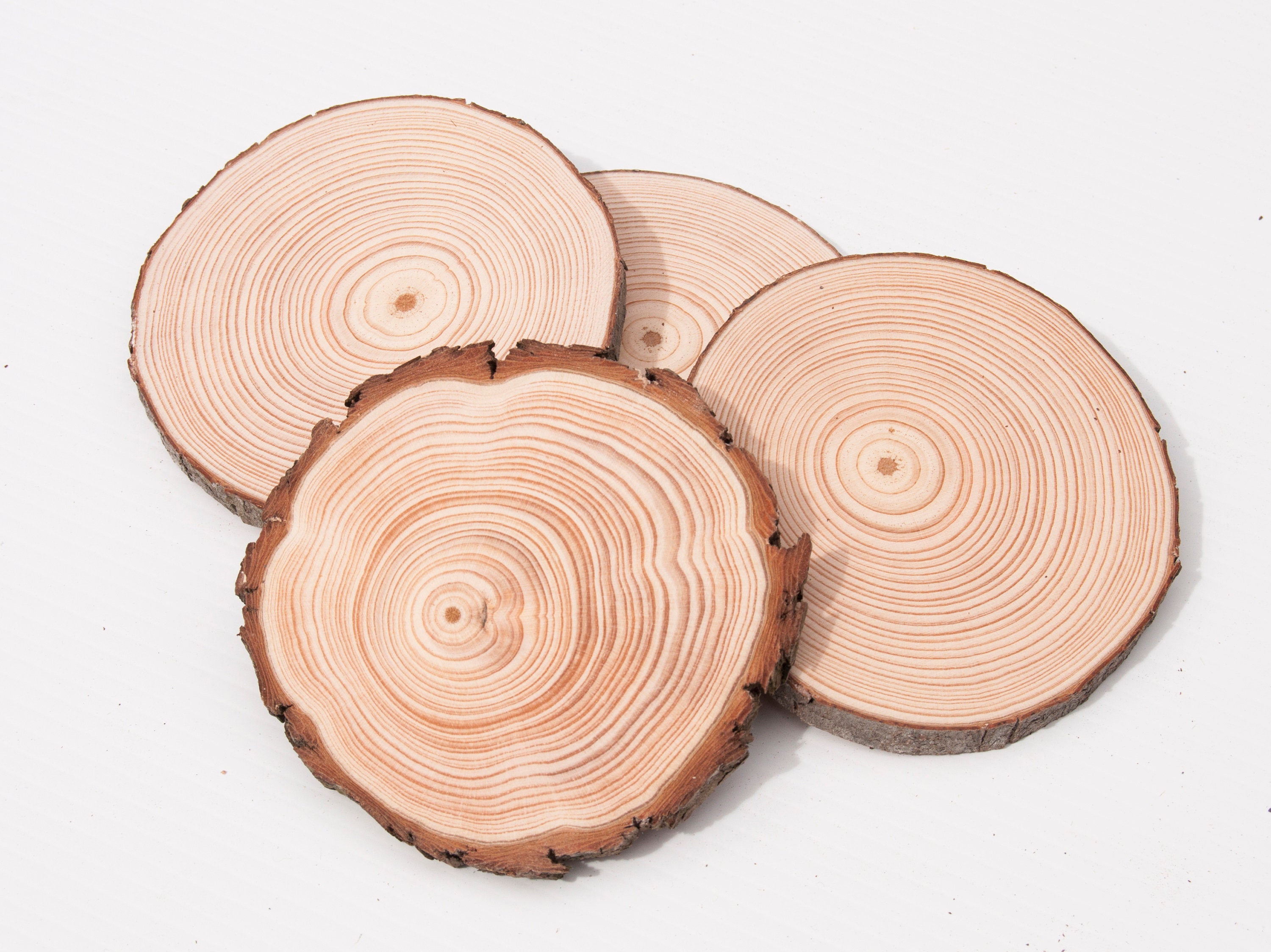 Natural Wood Slices Rustic Wood Rounds for Hobby Crafts Ornaments Weddings  or Home Decor Blank Tree Slices 6pcs 