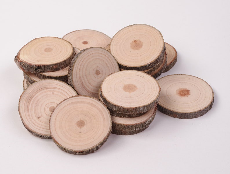 20 pack 4 6 cm wood slices 2 inch wood circles Small Wood Slices for Crafts Rustic Branch Slices Wood Slices for Christmas image 2