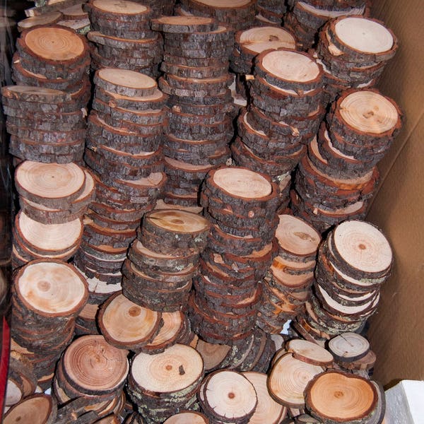 100 Discount Woodslices • Assorted Pack of Wood Slices • Tree Slices, Branch Slices • Bulk Wood Slices • Wood Rounds, 100 Wood Slice Seconds