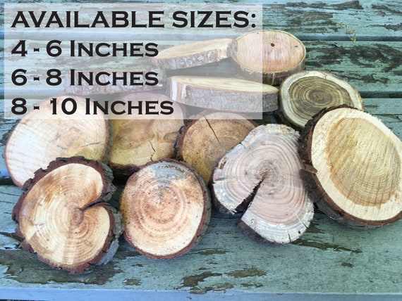 10 Pack Discount Large Wood Slices Discount Wood Slices for Wood Slice Art  and Crafts Assorted Wood Slices Budget Wood Slices 