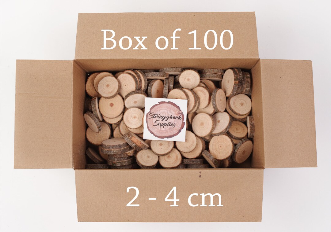 Small Wood Slices (2-4 Cm, 1 Inch): Craft Branch Slices, 100 Pack - Etsy