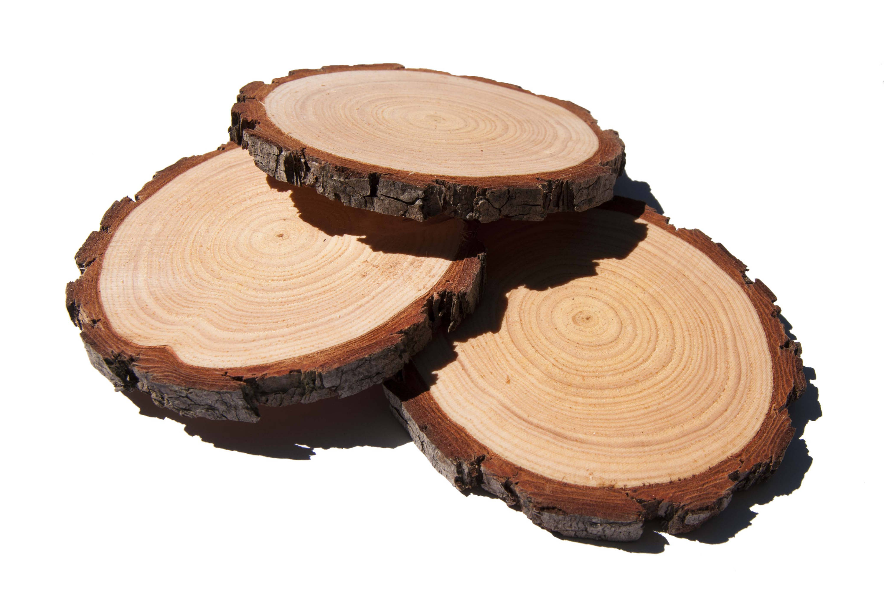 8 10 cm Holz Scheiben 10 Pack 3 4ZollHolzScheiben Etsy