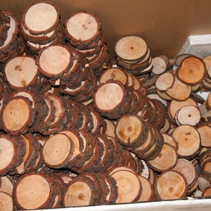 100 Discount Woodslices Assorted Pack of Wood Slices Tree Slices, Branch Slices Bulk Wood Slices Wood Rounds, 100 Wood Slice Seconds image 2