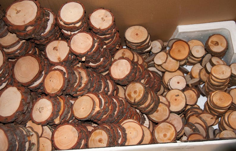 100 Discount Woodslices Assorted Pack of Wood Slices Tree Slices, Branch Slices Bulk Wood Slices Wood Rounds, 100 Wood Slice Seconds image 2