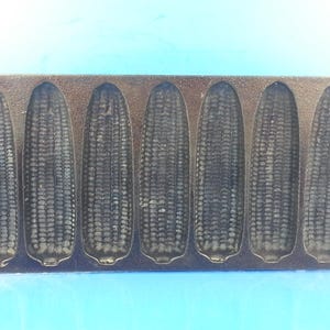 Może przedstawiać: Żeliwna forma do pieczenia chleba kukurydzianego z sześcioma formami w kształcie kolb kukurydzy. Patyna jest ciemnobrązowa i ma prostokątny kształt z zaokrąglonymi końcami. Formy są szczegółowe, aby przypominać kolby kukurydzy.