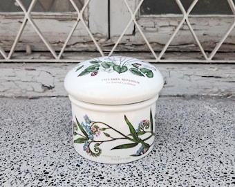 Vintage Portmeirion Porcelain Botanic Garden Cyclamens Floral Canister/Jar