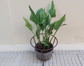 Vintage Metal Plant Pot Holder Stand