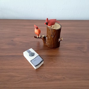 Può includere: Un pulsante di campanello bianco con la parola "Name" stampata su di esso. Due uccelli cardinali rossi sono appollaiati su un ceppo d'albero marrone.